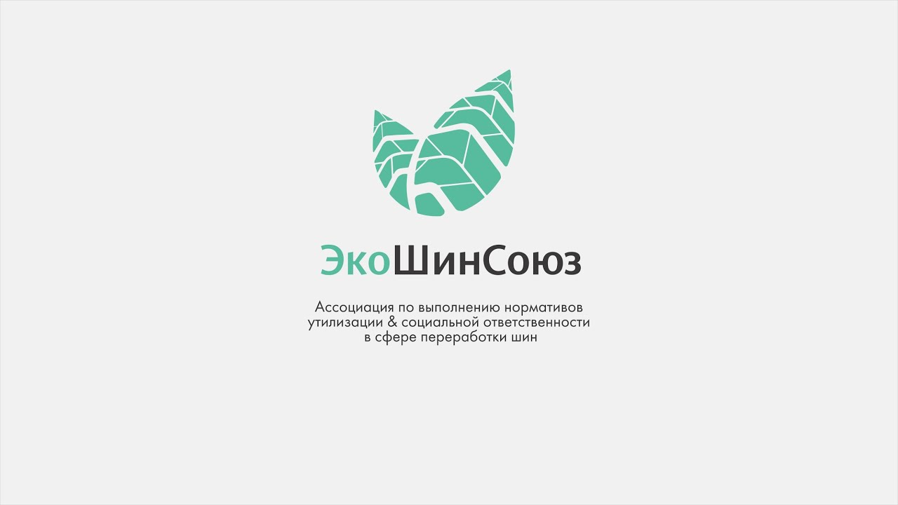 Что такое ЭкоШинСоюз